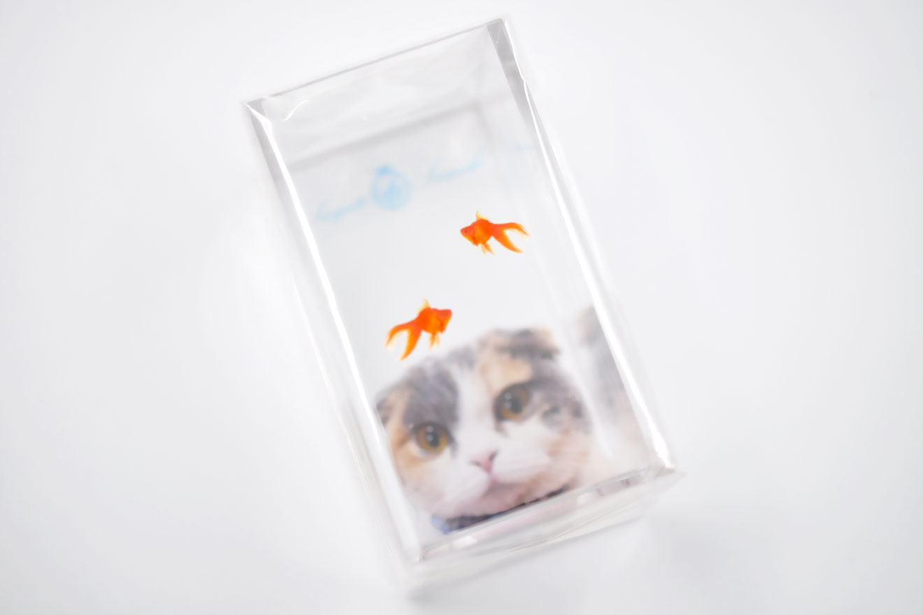 ストア ネコ 金魚 グッズ