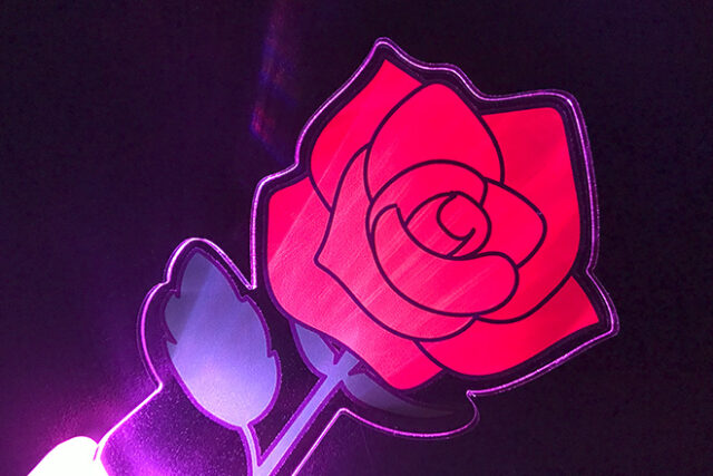 魅力的な赤いバラの光に包まれるアクリルペンライト