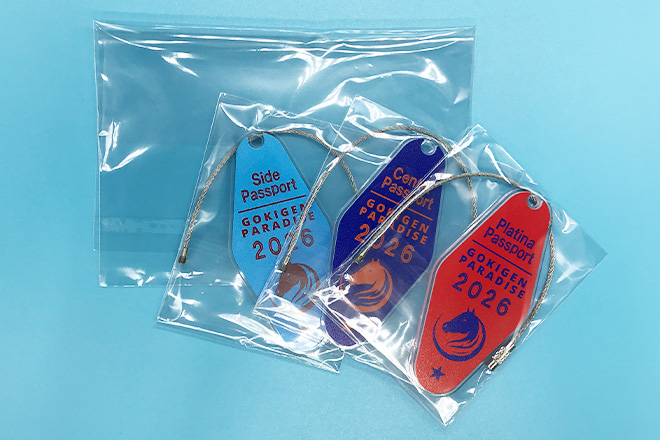 馬のシルエットとビビッドな配色が印象的なアクリルモーテルキー