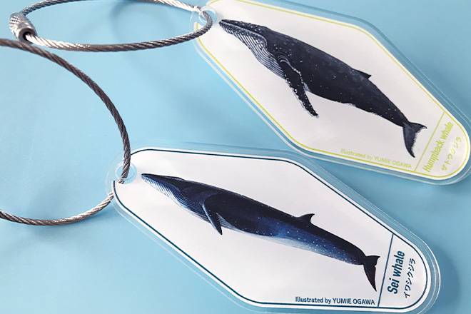10種類のクジラを鮮明に描いたアクリルモーテルキー